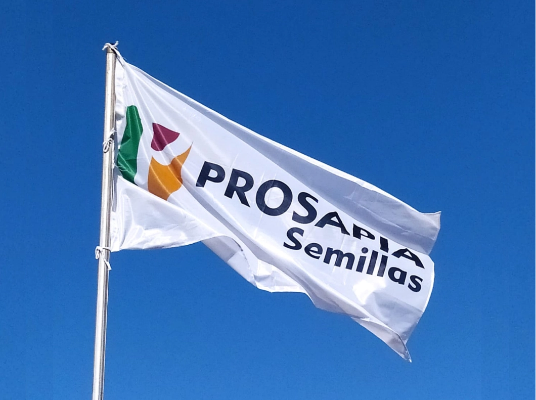 Prosapia Semillas - Genética propia de maíz y sorgo en Venado Tuerto Santa Fe